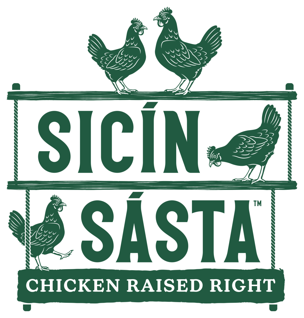 Sicín Sásta